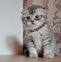 Продается