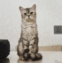 Продается/ Satilir
