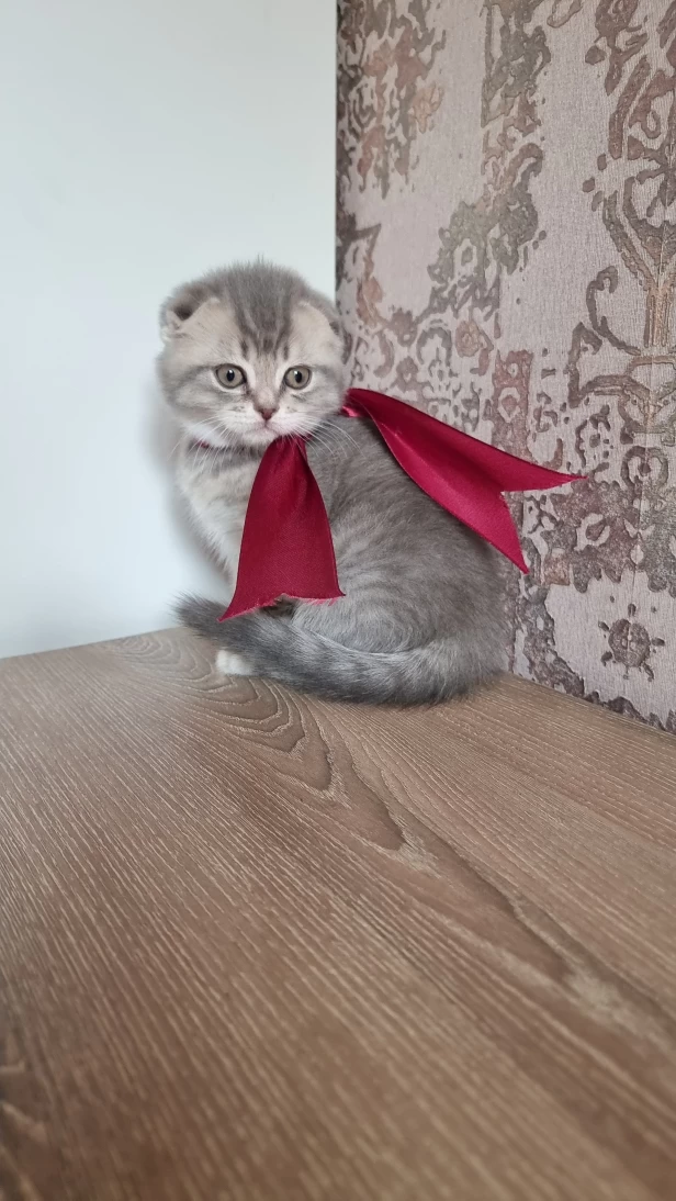 Продается