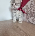 Продается