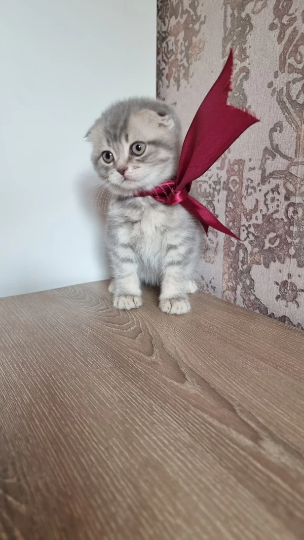 Продается