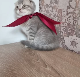 Продается