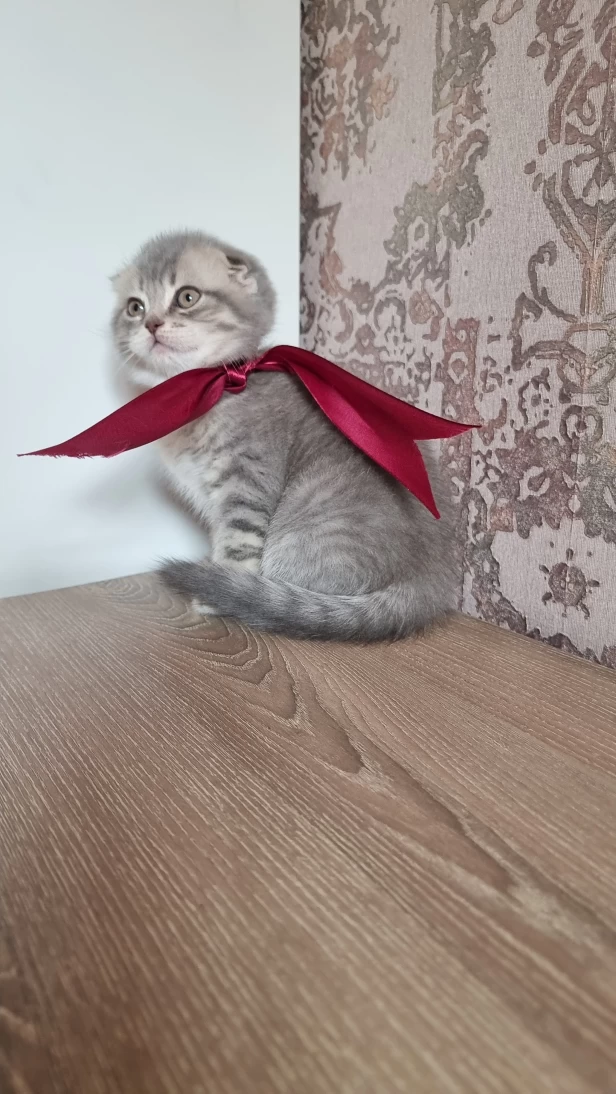 Продается