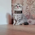 Продается